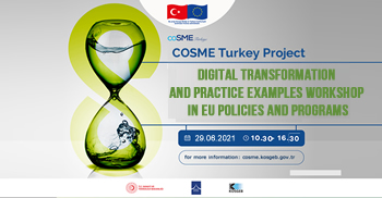 COSME Turkey Project 